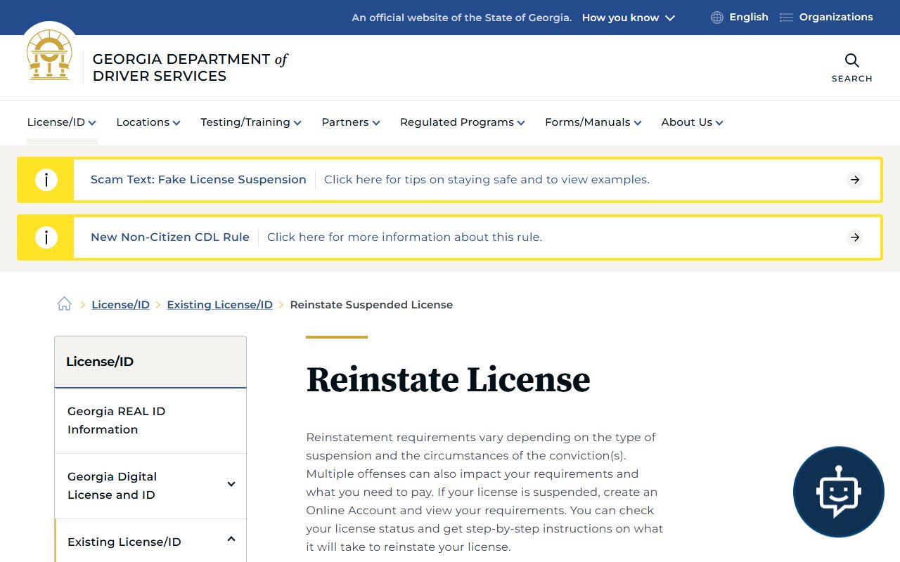 Georgia Traffic Court Records source image